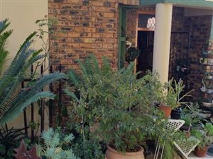 3 Bed House in Montana Park