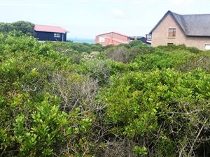 781 m² Land available in Boggomsbaai