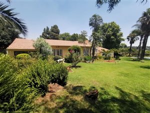 3 Bed House in Florida Park