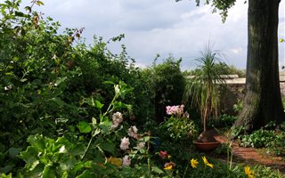 2 Bedroom House in The Gardens