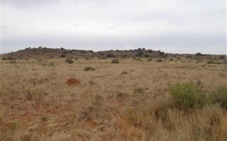 2500 ha Farm in Hopetown