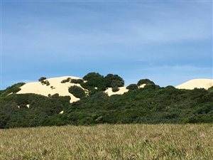 822 m² Land available in Kenton-on-Sea
