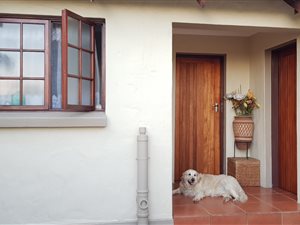 1 Bedroom Garden Cottage in Cornwall Hill