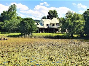 20.7 ha Smallholding in Dargle