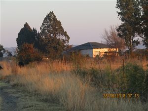 214 ha Farm in Koster