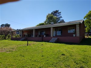 2.2 ha Farm in Rosetta