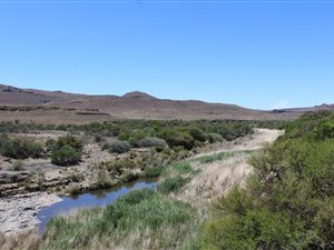 6412 ha Farm in Beaufort West