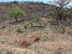 1525 m² Land available in Barberton