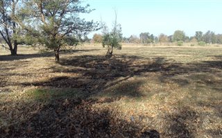 4367 m² Land available in Ncandu Park
