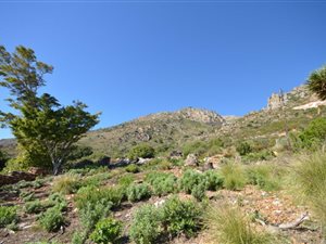 532 m² Land available in Mountainside