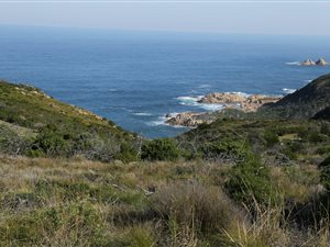 1.5 ha Land available in Pezula Private Estate