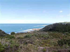 1.5 ha Land available in Pezula Private Estate