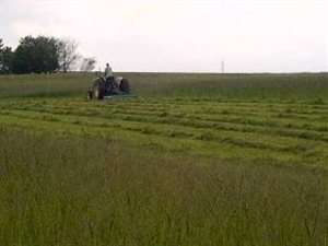 174 ha Farm in Bethlehem