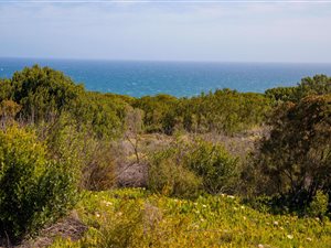 2269 m² Land available in Oubaai and surrounds
