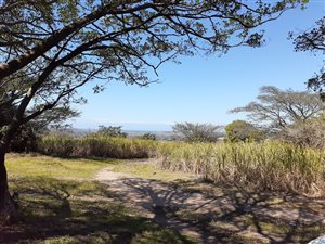 96 ha Farm in Ballito