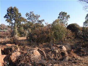 1249 m² Land available in Vaal Marina