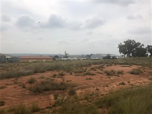 10001 ha Land available in Chloorkop