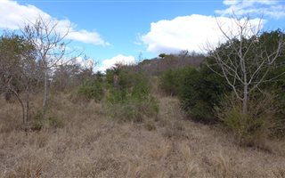 1487 m² Land available in Komatipoort