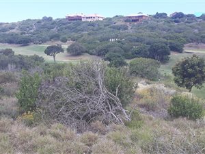 685 m² Land available in Great Brak River