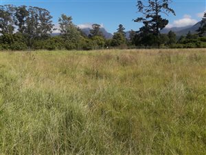 1230 m² Land available in King George Park
