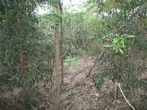 1352 m² Land available in Ramsgate