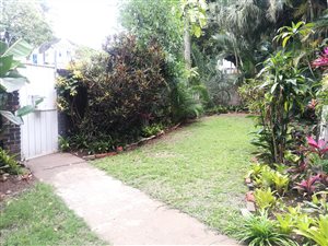 1 Bed Apartment in Morningside