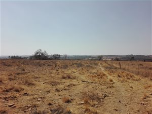 5.1 ha Farm in Donkerhoek