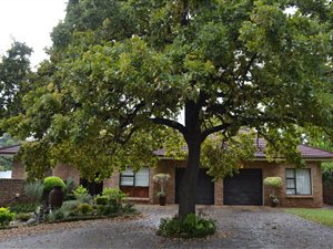 5 Bed House in Ceres
