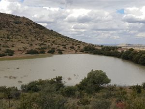 2797 ha Farm in Koffiefontein