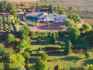 3.8 ha Farm in Stellenbosch Agricultural