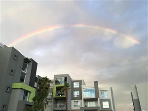 1 Bed Apartment in Century City