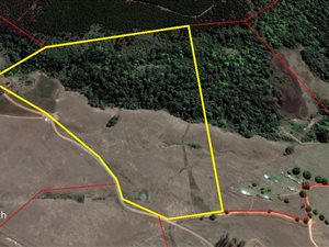 17 ha Land available in Balgowan