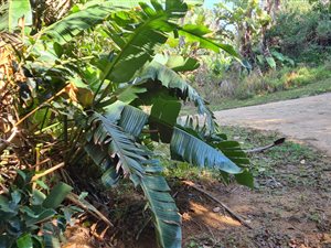 1060 m² Land available in Leisure Bay