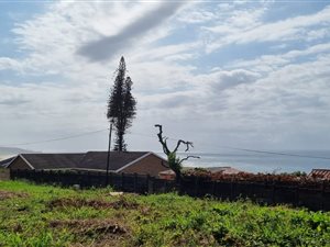 1016 m² Land available in Mtwalume