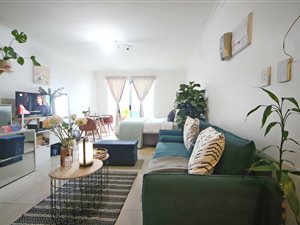 1 Bed Apartment in Salt River