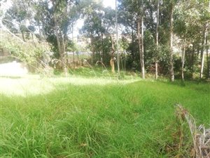 1289 m² Land available in Heatherlands