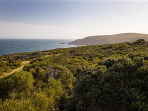 775 m² Land available in Herolds Bay