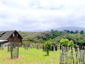 3 Bed House in Wilderness Heights