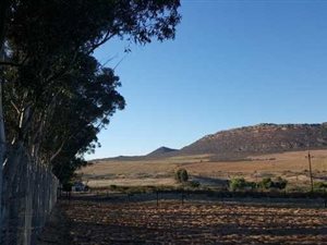 687 m² Land available in Clanwilliam