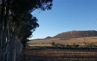 687 m² Land available in Clanwilliam