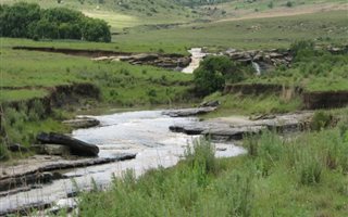 7236 ha Farm in Harrismith