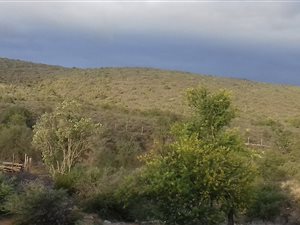 34 ha Farm in Vanwyksdorp
