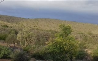 34 ha Farm in Vanwyksdorp