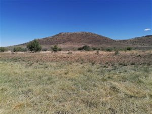 1513 ha Farm in Britstown