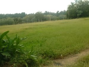 4.9 ha Farm in Ruimsig
