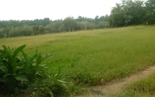 4.9 ha Farm in Ruimsig