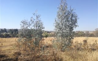 1 ha Land available in Beaulieu