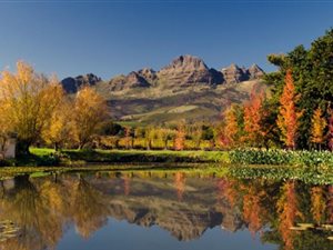 23.9 ha Farm in Stellenbosch Central