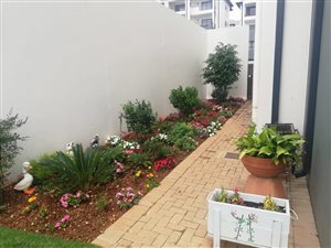3 Bed Townhouse in Modderfontein