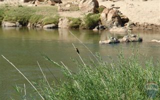 1 ha Land available in Lissataba